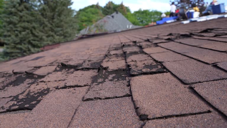 Fast & Reliable Emergency Roof Repairs in Kulpmont, PA